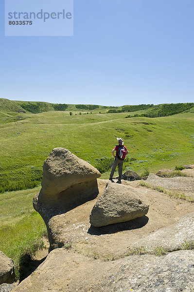 Osten  wandern  Steppe  Wiese