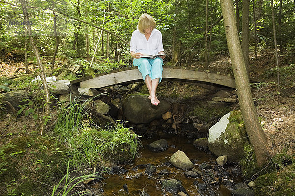 Laubwald  sitzend  Frau  Brücke  Algonquin Provincial Park  Kanada  Ontario  vorlesen