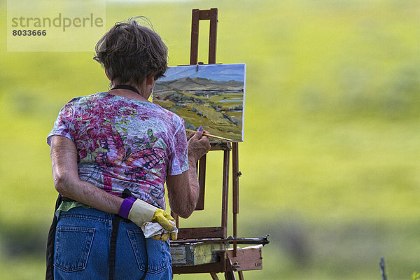 Frau  Landschaft  streichen  streicht  streichend  anstreichen  anstreichend  Wiese  Saskatchewan  Kanada