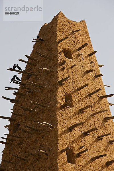 hoch  oben  nahe  Ehrfurcht  Ansicht  Minarett  Moschee  Niger