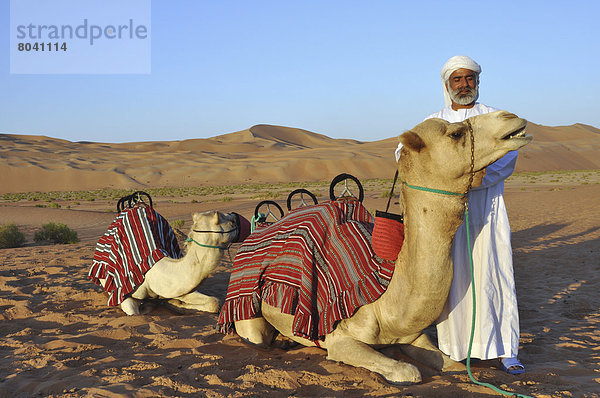 Führung  Anleitung führen  führt  führend  Vereinigte Arabische Emirate  VAE  Wüste  Düne  Kamel