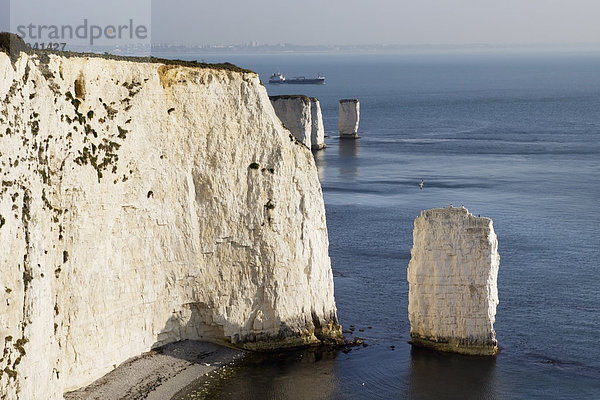 Großbritannien  Steilküste  Dorset  England