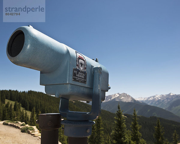 Espe  Populus tremula  Vereinigte Staaten von Amerika  USA  Berg  hoch  oben  Ansicht  Rocky Mountains  Colorado