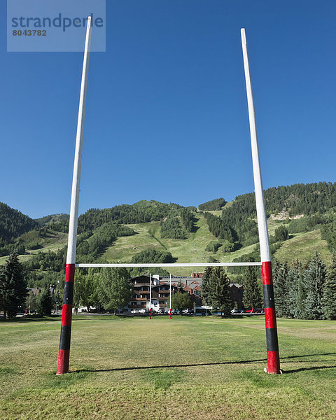 Espe  Populus tremula  Vereinigte Staaten von Amerika  USA  Verein  Colorado  Football  Rugby