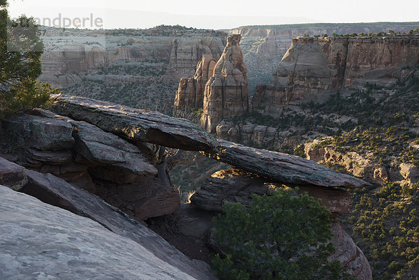 Vereinigte Staaten von Amerika  USA  Felsbrocken  Ehrfurcht  schlank  rot  Ansicht  Schlucht  Colorado  Sandstein