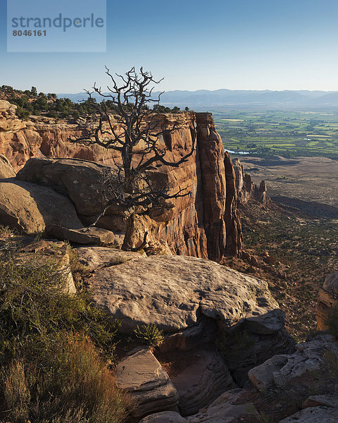 Vereinigte Staaten von Amerika  USA  Felsbrocken  Ehrfurcht  schlank  rot  Ansicht  Schlucht  Colorado  Sandstein