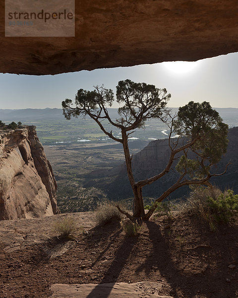 Vereinigte Staaten von Amerika  USA  Felsbrocken  Ehrfurcht  schlank  rot  Ansicht  Schlucht  Colorado  Sandstein