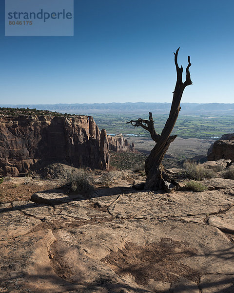 Vereinigte Staaten von Amerika  USA  Felsbrocken  Ehrfurcht  schlank  rot  Ansicht  Schlucht  Colorado  Sandstein