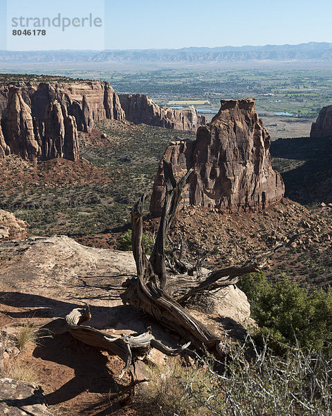 Vereinigte Staaten von Amerika  USA  Felsbrocken  Ehrfurcht  schlank  rot  Ansicht  Schlucht  Colorado  Sandstein