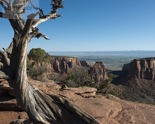 Vereinigte Staaten von Amerika  USA  Felsbrocken  Ehrfurcht  schlank  rot  Ansicht  Schlucht  Colorado  Sandstein