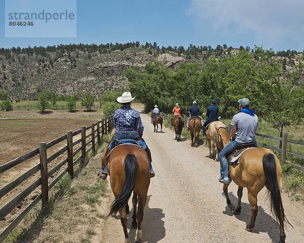 Vereinigte Staaten von Amerika  USA  fahren  reiten - Pferd  Tal  Colorado  Ranch