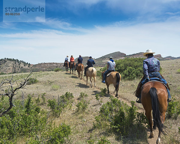 Vereinigte Staaten von Amerika  USA  fahren  reiten - Pferd  Tal  Colorado  Ranch