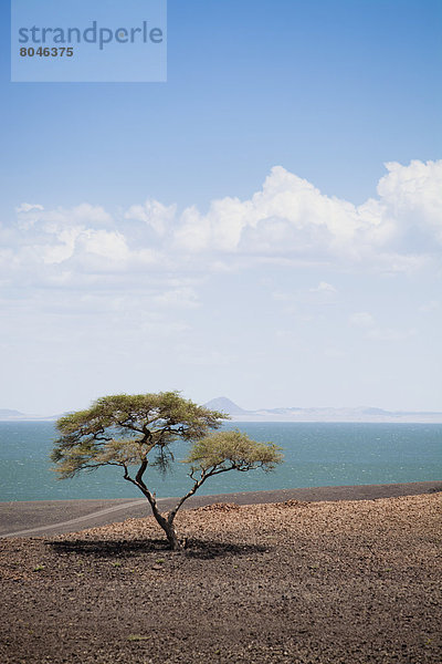 leer  Landschaftlich schön  landschaftlich reizvoll  See  Öde  Kenia