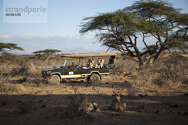 camping  Reichtum  Safari  Gast  Geländewagen  Kenia