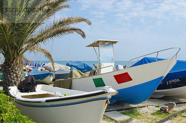 Strand  Baum  Boot  Meer  weiß  Kieselstein  blau  Ansicht  Palme  Italien  Marken