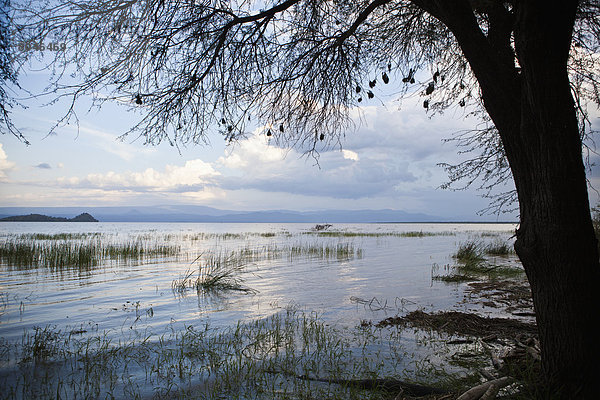 Rift Valley  Kenia  Kenia