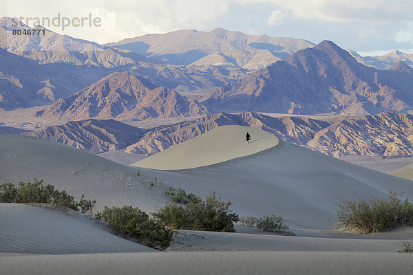 Vereinigte Staaten von Amerika  USA  Frau  Berg  gehen  Hintergrund  Sand  jung  flach  Düne  Death Valley Nationalpark  Kalifornien