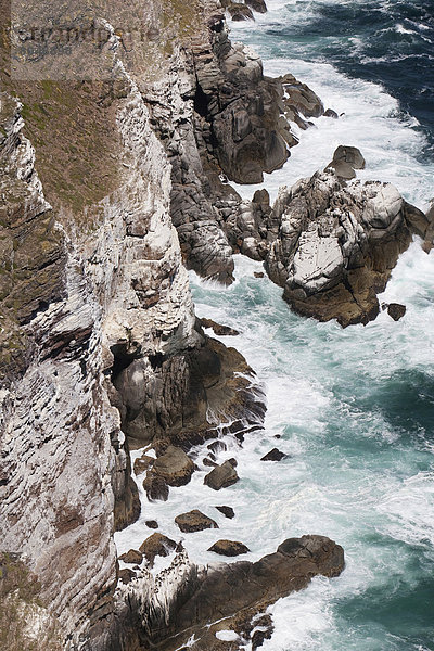 Südliches Afrika  Südafrika  Cape Point  Kapstadt