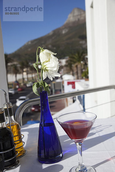 Südliches Afrika  Südafrika  Glas  Blume  Wein  Cafe  Tisch  Kapstadt