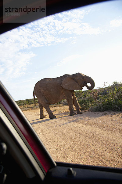 Südliches Afrika  Südafrika  Garden Route