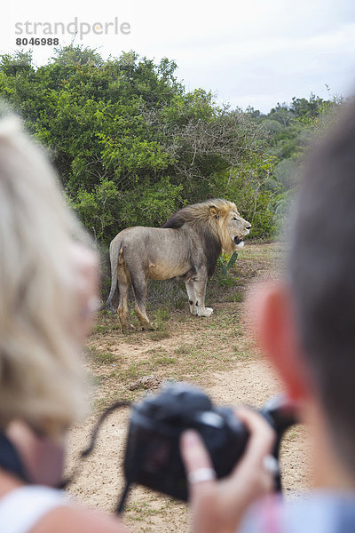 Südliches Afrika  Südafrika  Garden Route