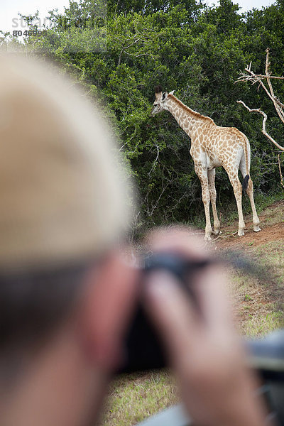 Südliches Afrika  Südafrika