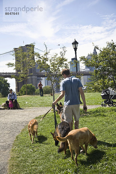 Vereinigte Staaten von Amerika  USA  New York City  Brooklyn  New York State