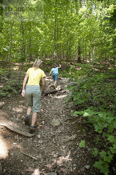 Vereinigte Staaten von Amerika  USA  Frau  Wald  New York State  trekking