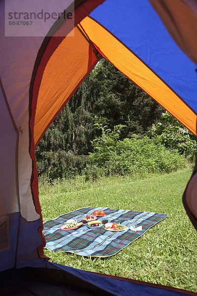 Vereinigte Staaten von Amerika  USA  Picknick  camping  Zelt  Gras  New York State