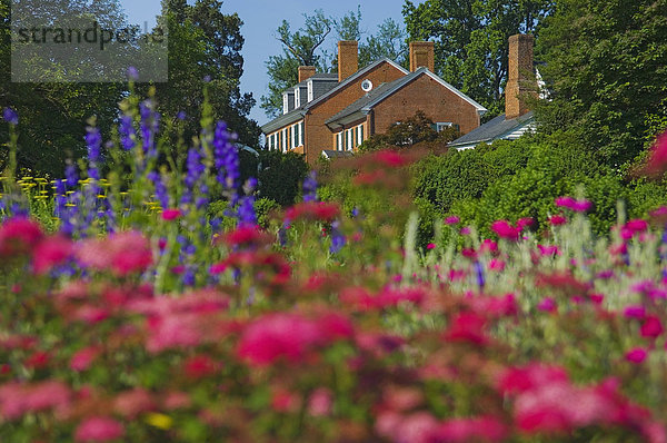 Vereinigte Staaten von Amerika  USA  Virginia  Charlottesville