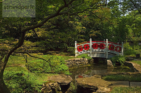 Vereinigte Staaten von Amerika  USA  Wasser  Tal  Museum  Garten  Virginia  winchester  japanisch