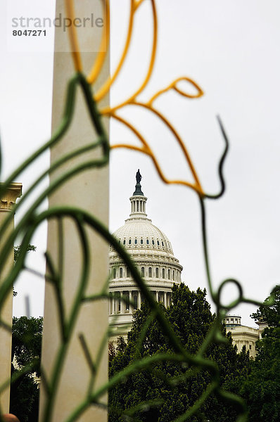 Vereinigte Staaten von Amerika USA Washington DC Hauptstadt Skulptur Gebäude Hintergrund Garten Verbindung Botanik modern