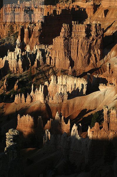 Vereinigte Staaten von Amerika  USA  Idee  Ansicht  zeigen  Hoodoo  Bryce Canyon Nationalpark  Schlucht  Utah