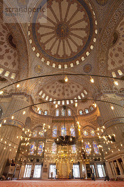 Truthuhn  blau  Istanbul  Moschee  Türkei
