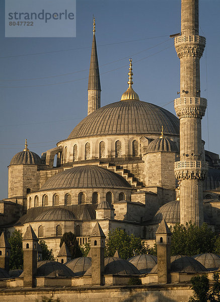 Truthuhn  Morgendämmerung  blau  Istanbul  Moschee  Türkei