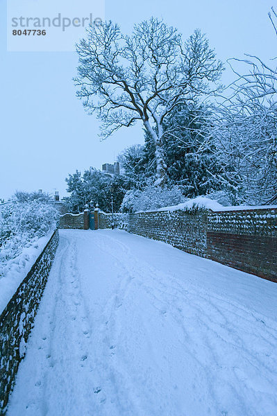 sehen  Palast  Schloß  Schlösser  Weg  Morgendämmerung  East Sussex  England  Schnee