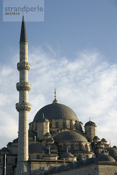 Truthuhn  Außenaufnahme  Istanbul  Moschee  Türkei