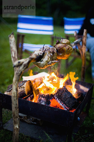 offen Großbritannien über Campingplatz Feuer Huhn Gallus gallus domesticus Braten North Wales Wales