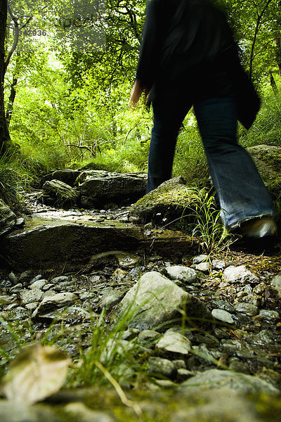 gehen  folgen  Großbritannien  Weg  Snowdonia Nationalpark  North Wales  Wales