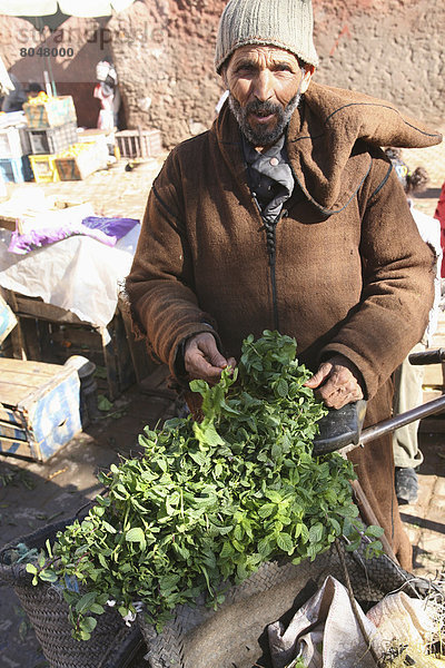 Frische  verkaufen  Minze  Souk  Marrakesch  Marokko