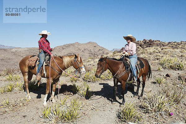 Vereinigte Staaten von Amerika  USA  zwischen  inmitten  mitten  Mann  Landschaft  fahren  Wüste  reiten - Pferd  2  Texas
