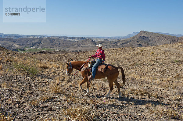 Vereinigte Staaten von Amerika  USA  zwischen  inmitten  mitten  Mann  Landschaft  fahren  Wüste  reiten - Pferd  Texas