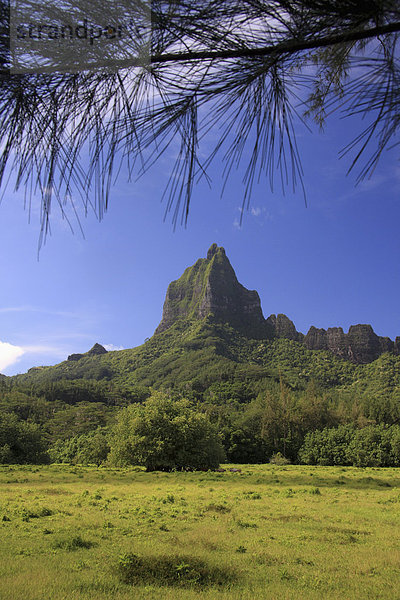 Landschaft  grün  Überfluss  Schwangerschaft  Berg  Französisch-Polynesien  Hang