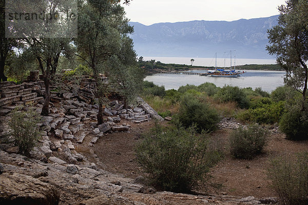 Truthuhn  Boot  Ruine  Amphitheater  Türkei