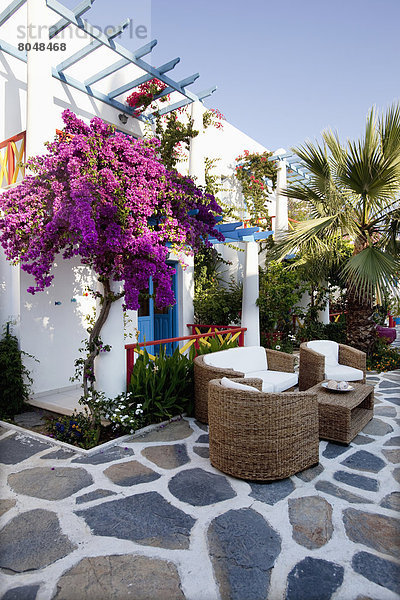 Boden Fußboden Fußböden Bodrum Bougainvillea Türkei