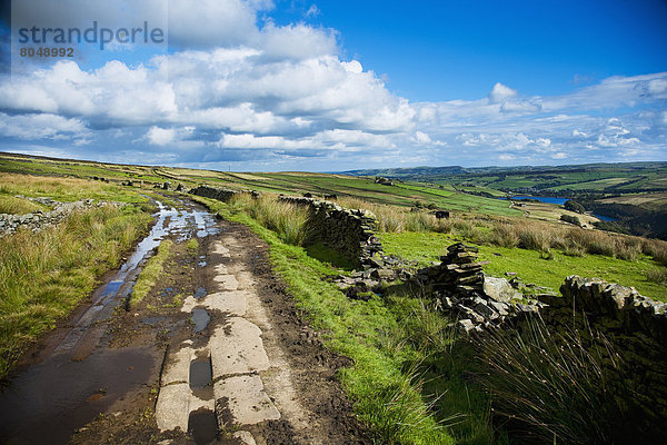 Großbritannien  Weg  Yorkshire and the Humber  Moor  Reitweg  England  Wanderweg