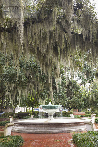 Vereinigte Staaten von Amerika  USA  Savannah