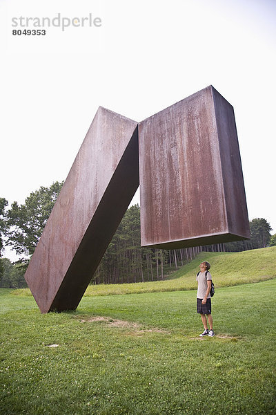 Vereinigte Staaten von Amerika  USA  Einkaufszentrum  Skulptur  Sturm  Kunst  New York City  König - Monarchie  hängen