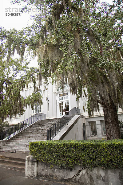 Vereinigte Staaten von Amerika  USA  South Carolina