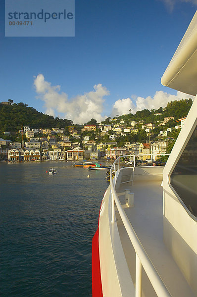 Fischadler  Pandion haliaetus  Fähre  Karibik  Ansicht  Terrasse  Grenada  Hauptstadt